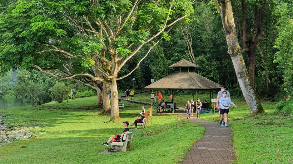 6 Secret Places To Hike In Singapore