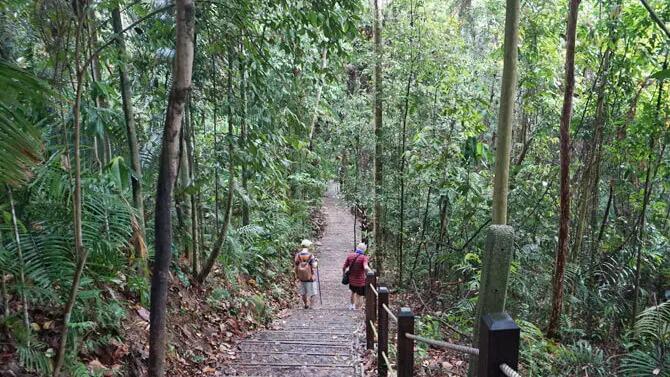 6-secret-places-to-hike-in-singapore