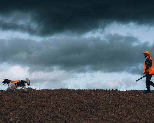 gilet chasse