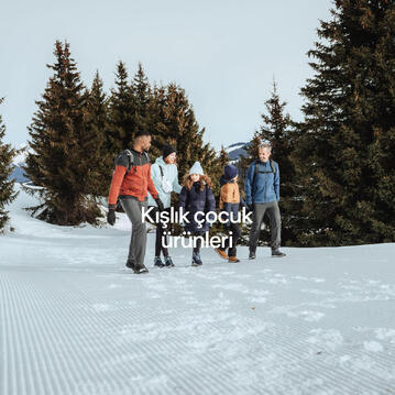 Picture alternate text