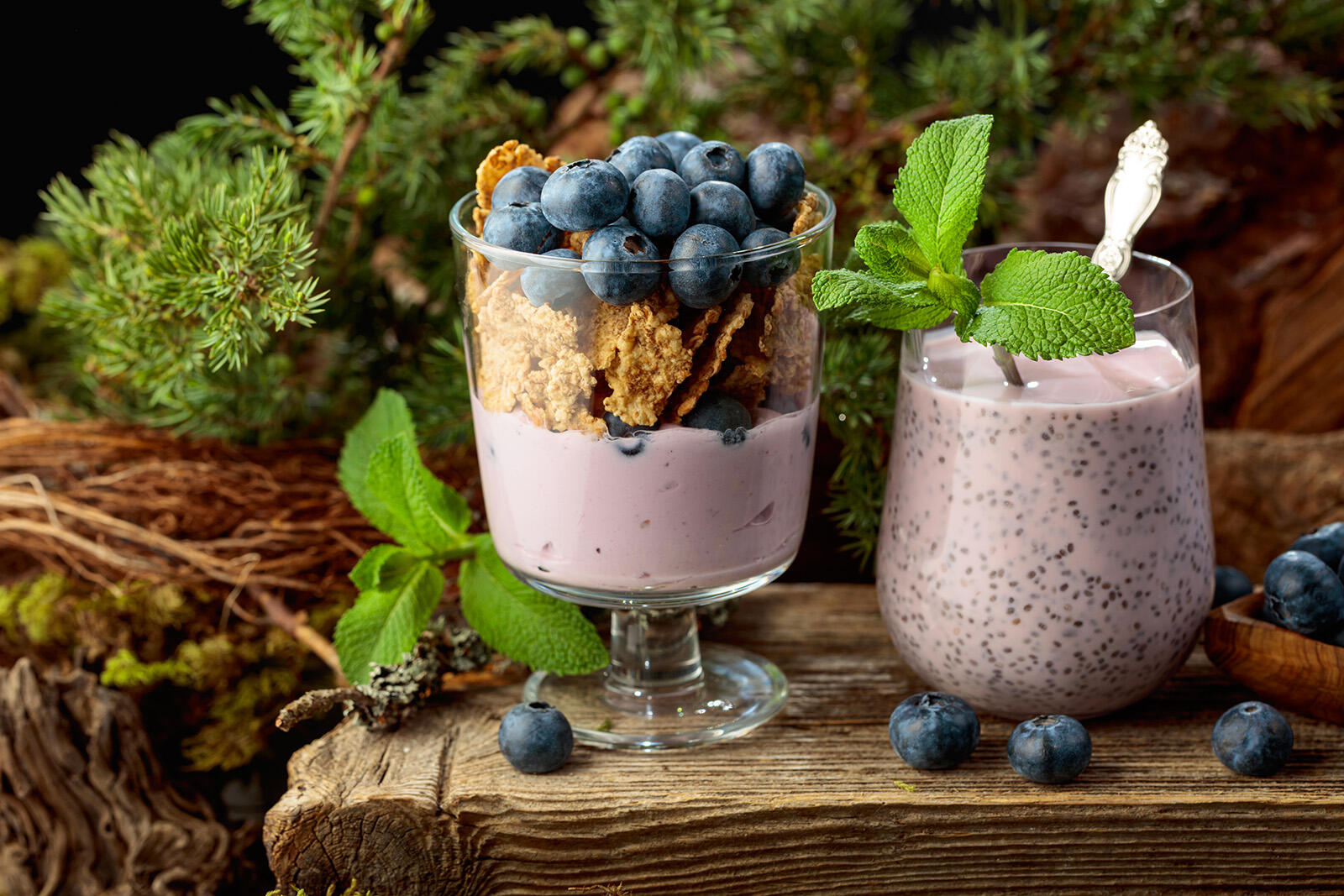 Pudding chia z owocami