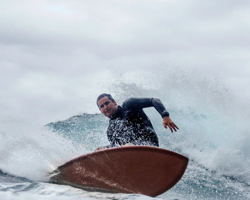 Highlight Surf - Fish 8937163