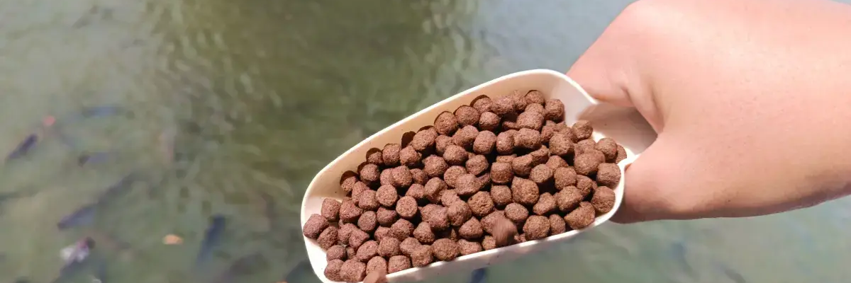 Pellet na ryby na szpadelku
