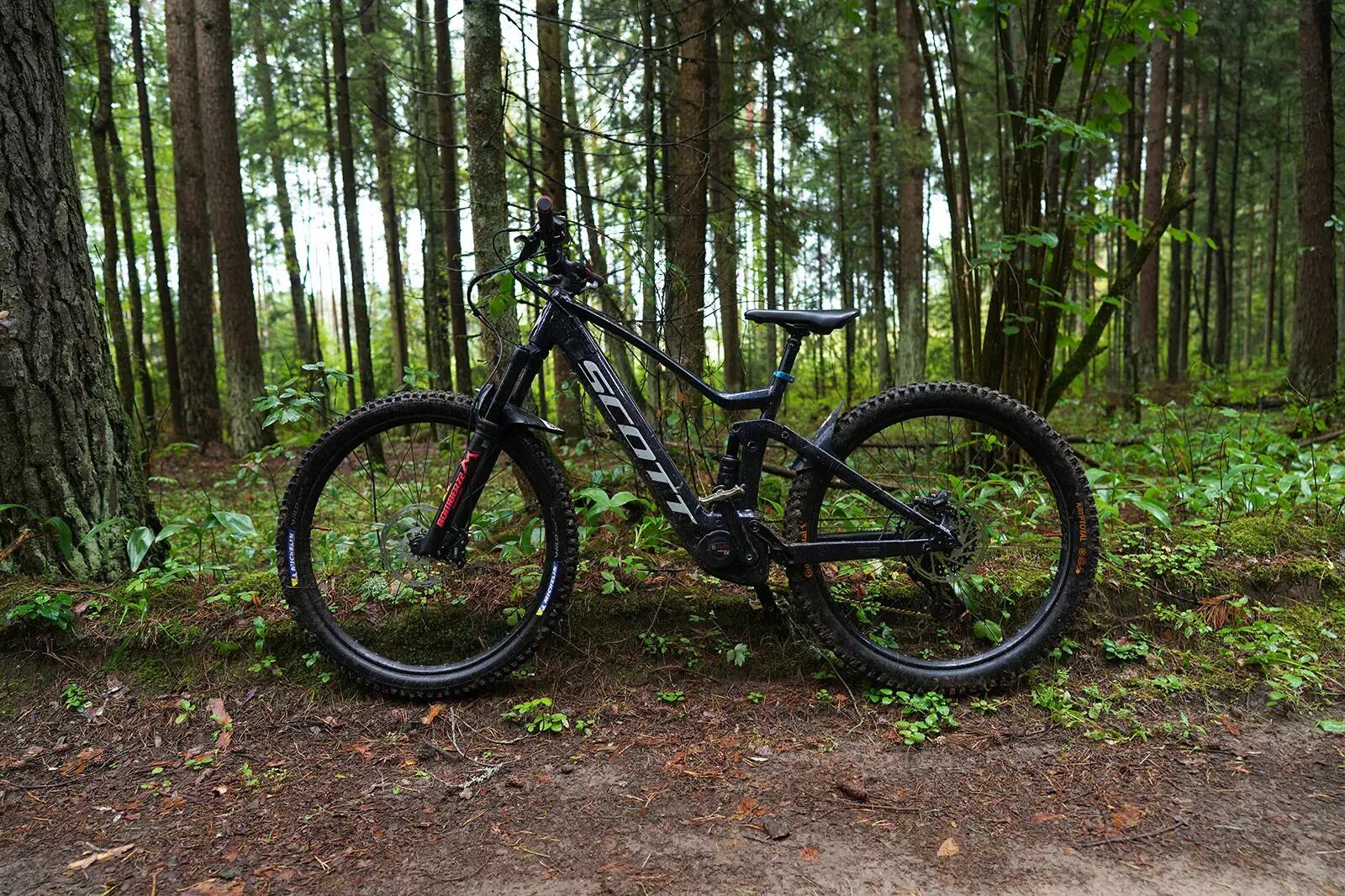 Rower mtb stojący w lesie na ścieżce