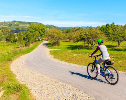 Kobieta w kasku jadąca na rowerze trasą Velo Dunajec