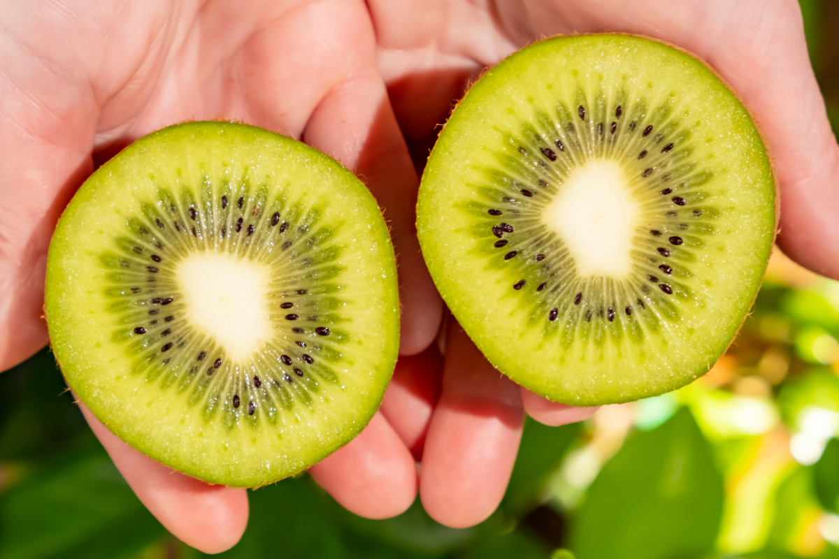 Dwie połówki kiwi