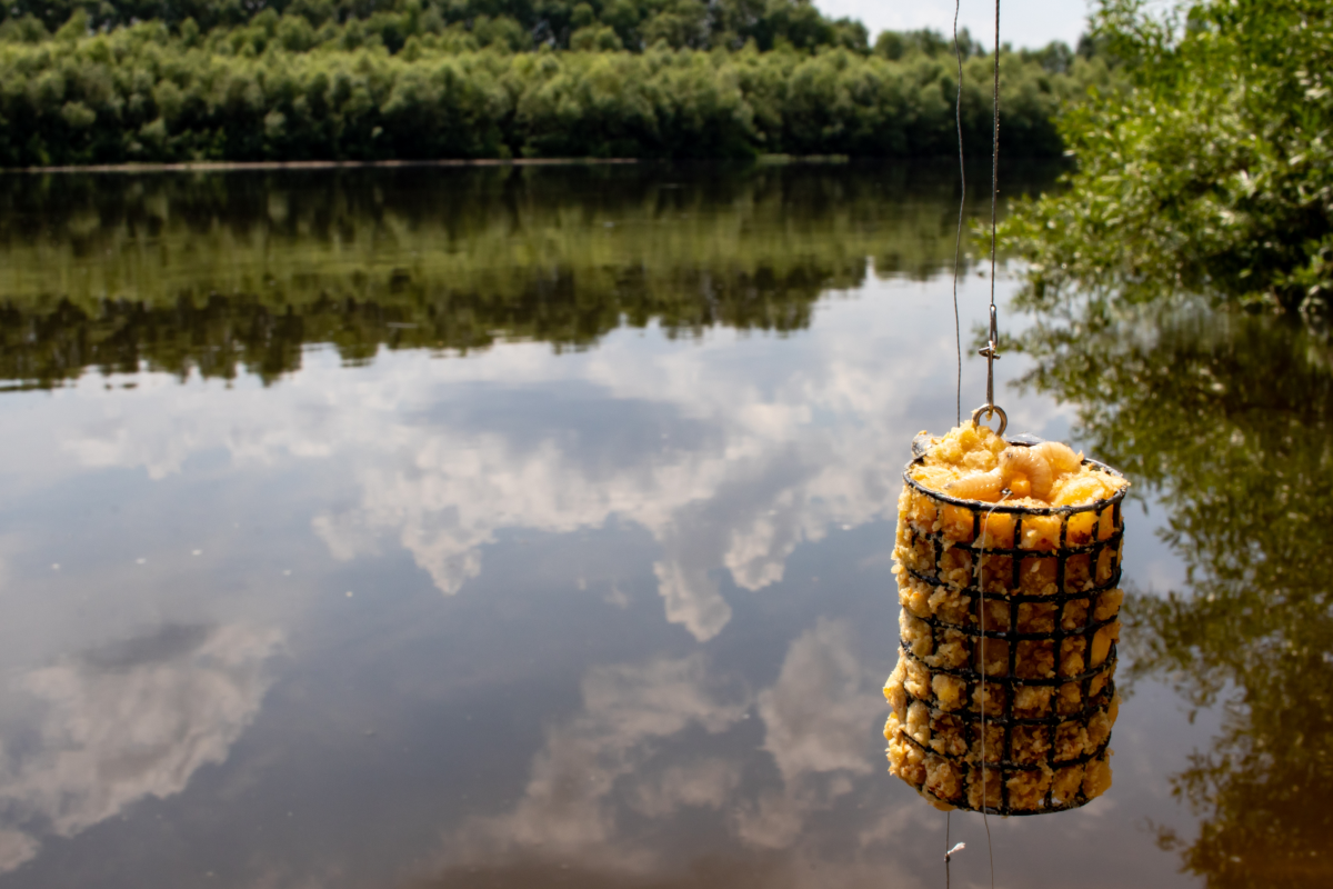 Koszyczek feeder z zanętą wiszący na wędce