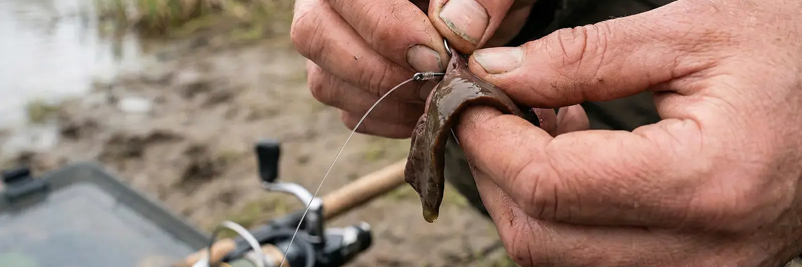 Mężczyzna zakładajacy wątróbkę na haczyk