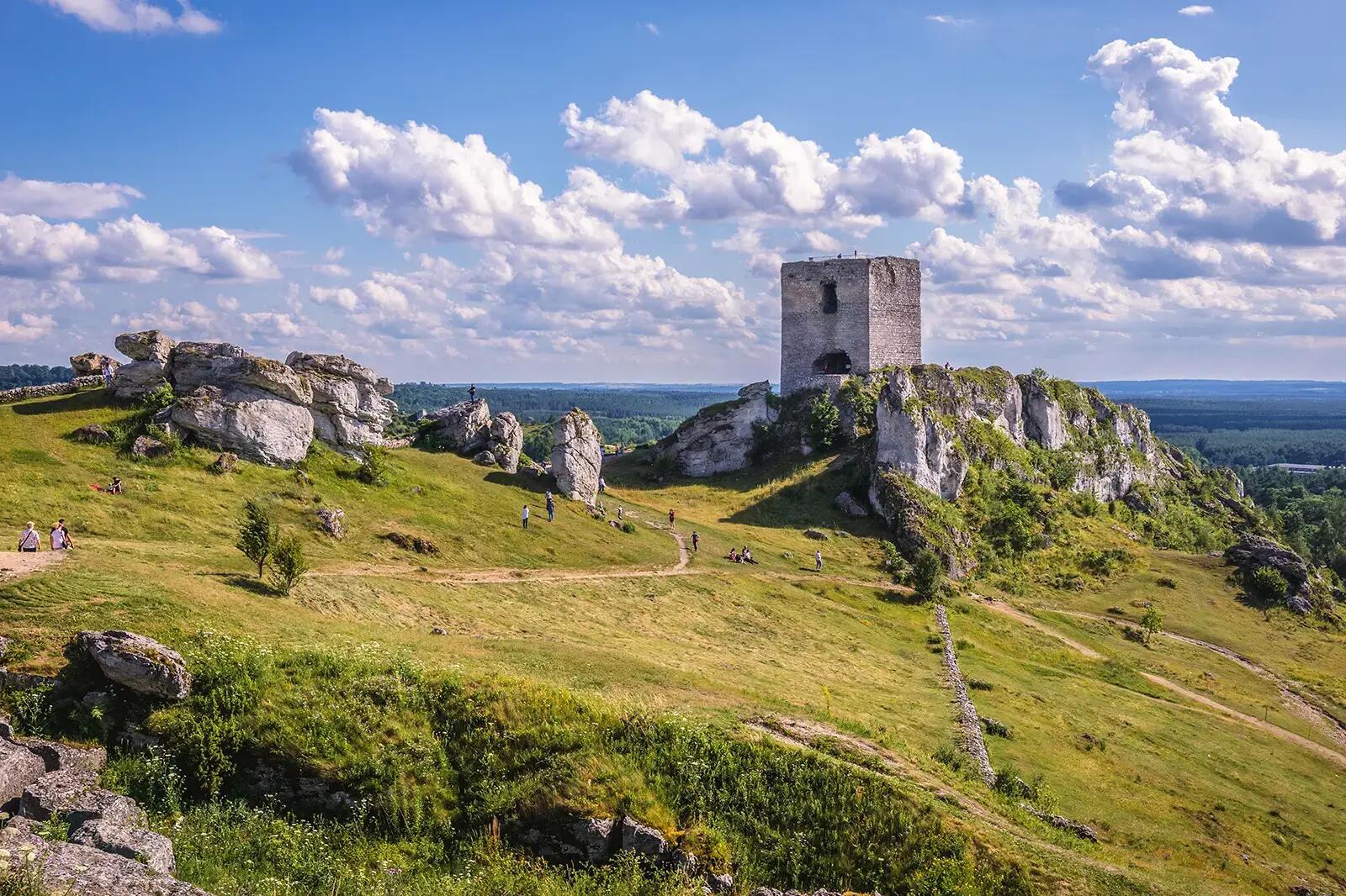 Szlak Orlich Gniazd