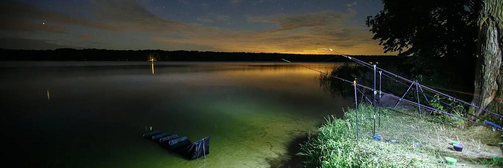 Wędki na stojach nocą