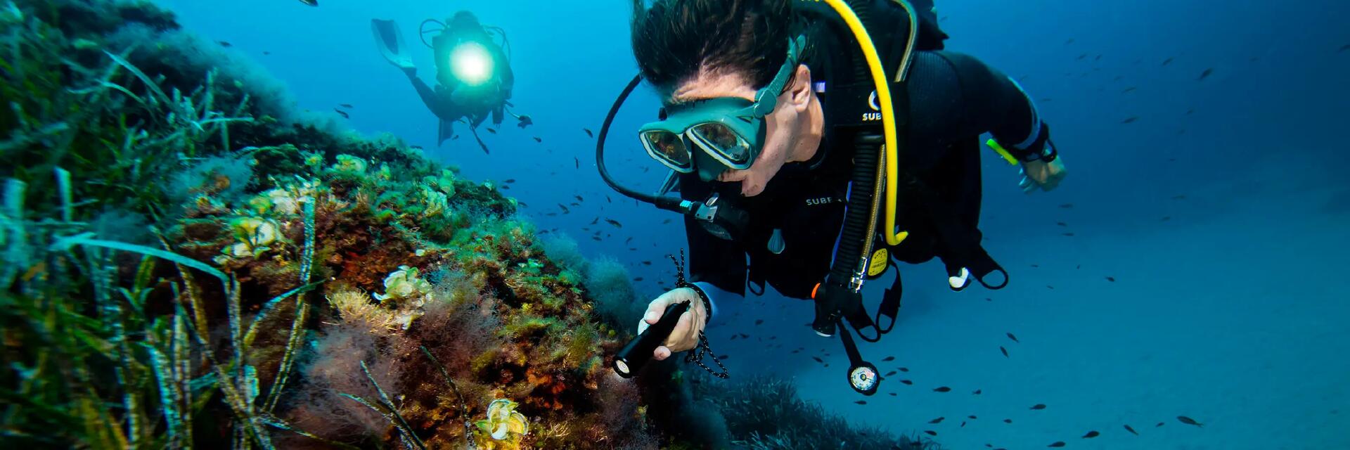 conseil entretien ordinateur plongee subea house reef alor indonesie