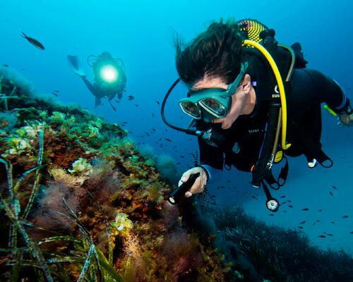 conseil entretien ordinateur plongee subea house reef alor indonesie