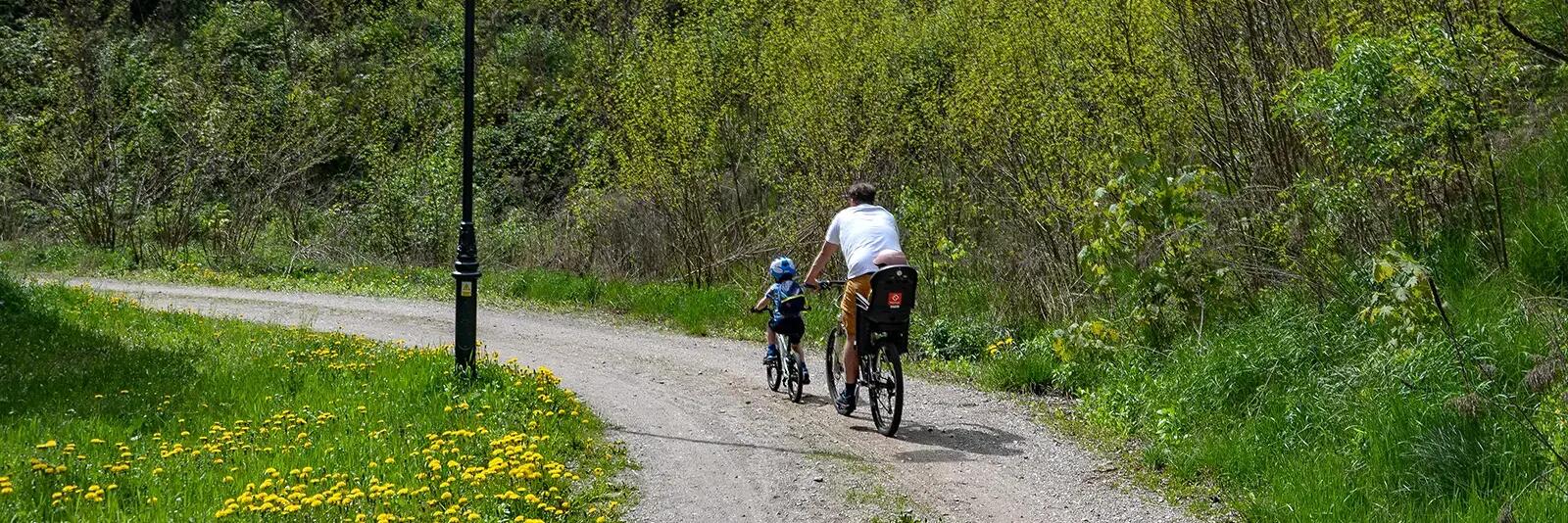 Mężczyzna z dziećmi jadący rowerami w terenie