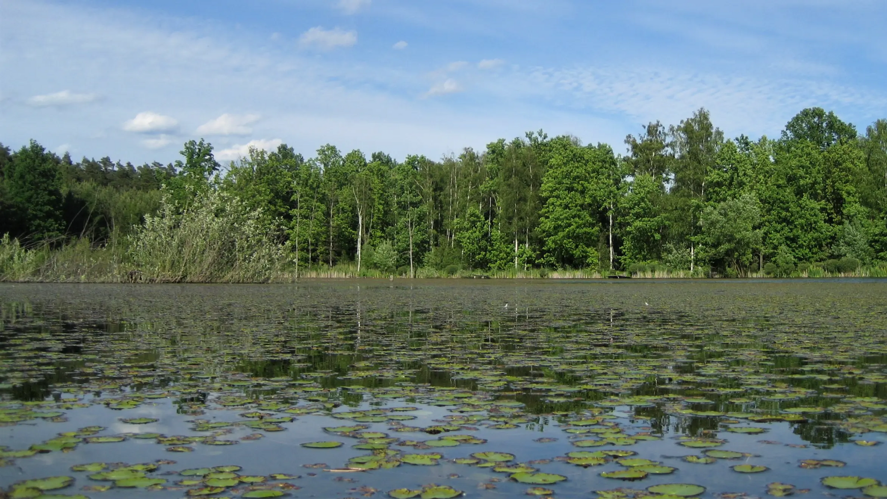 Jezioro