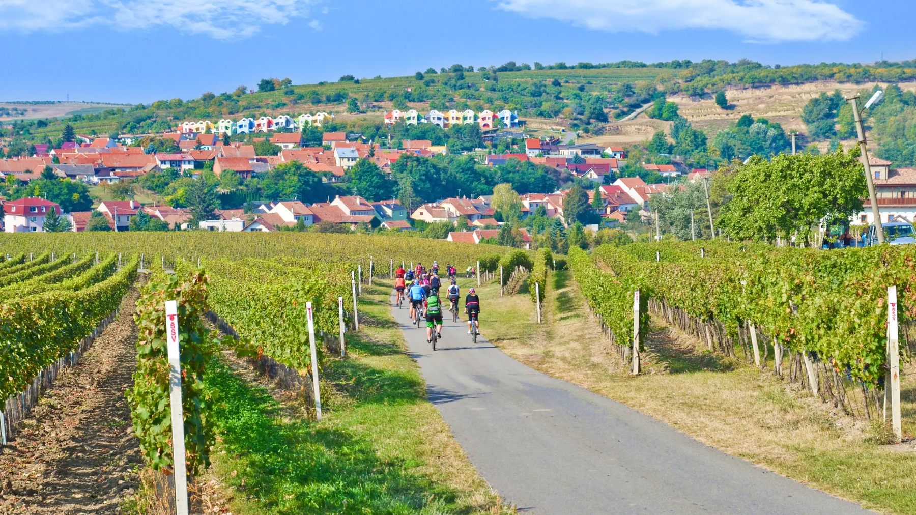 Rowerzyści jadący rowerami