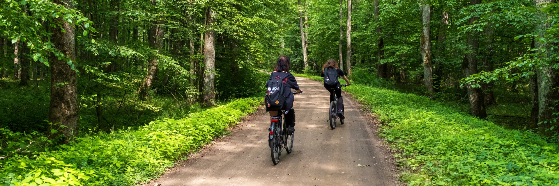 Dwie osoby na rowerach jadące w lesie trasą Green Velo Podlasie