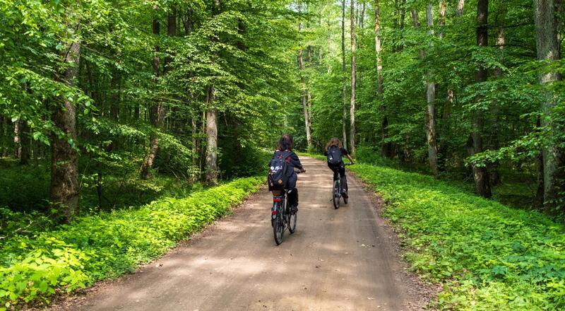 Green Velo Podlasie – co warto wiedzieć o podlaskiej trasie rowerowej?