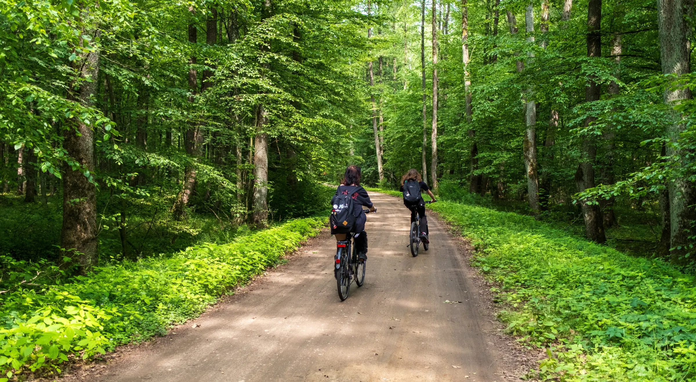 Green Velo Podlasie – co warto wiedzieć o podlaskiej trasie rowerowej?