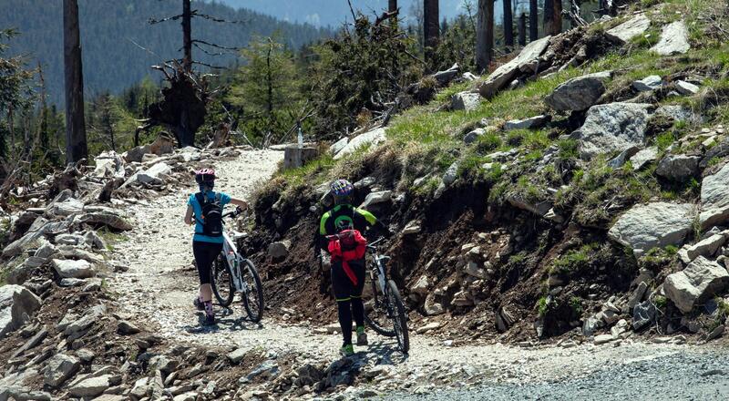 Bike Park Czarna Góra – trasy rowerowe dla każdego