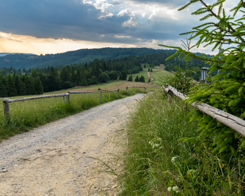 Trasy rowerowe w Sosnowcu