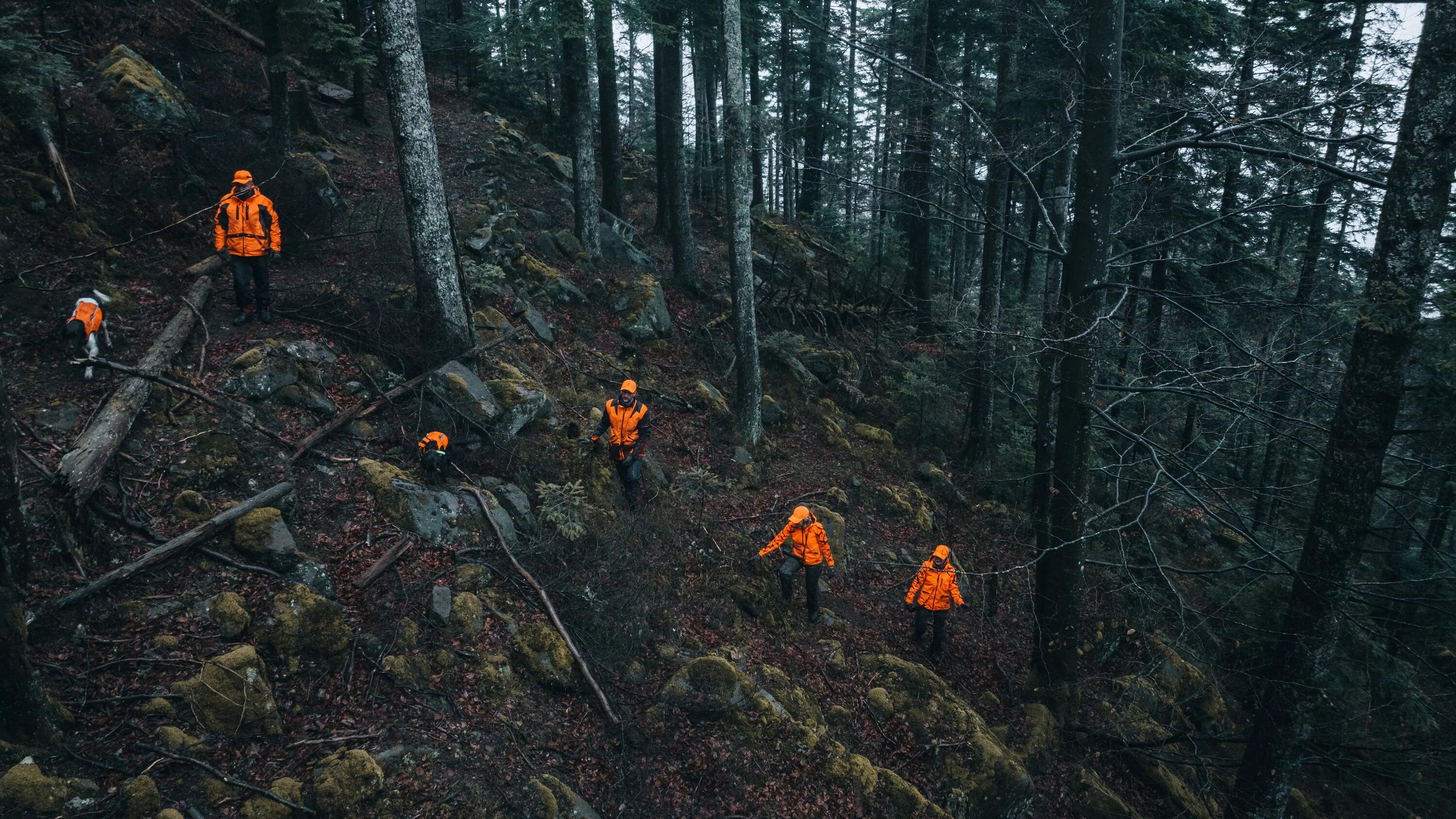 Beaters equipped for dense cover