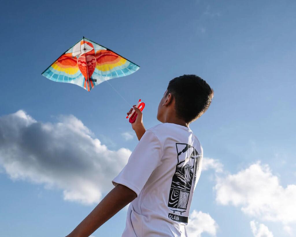 Kites