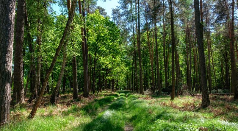 Trasa rowerowa – Niepołomice. Co warto wiedzieć?