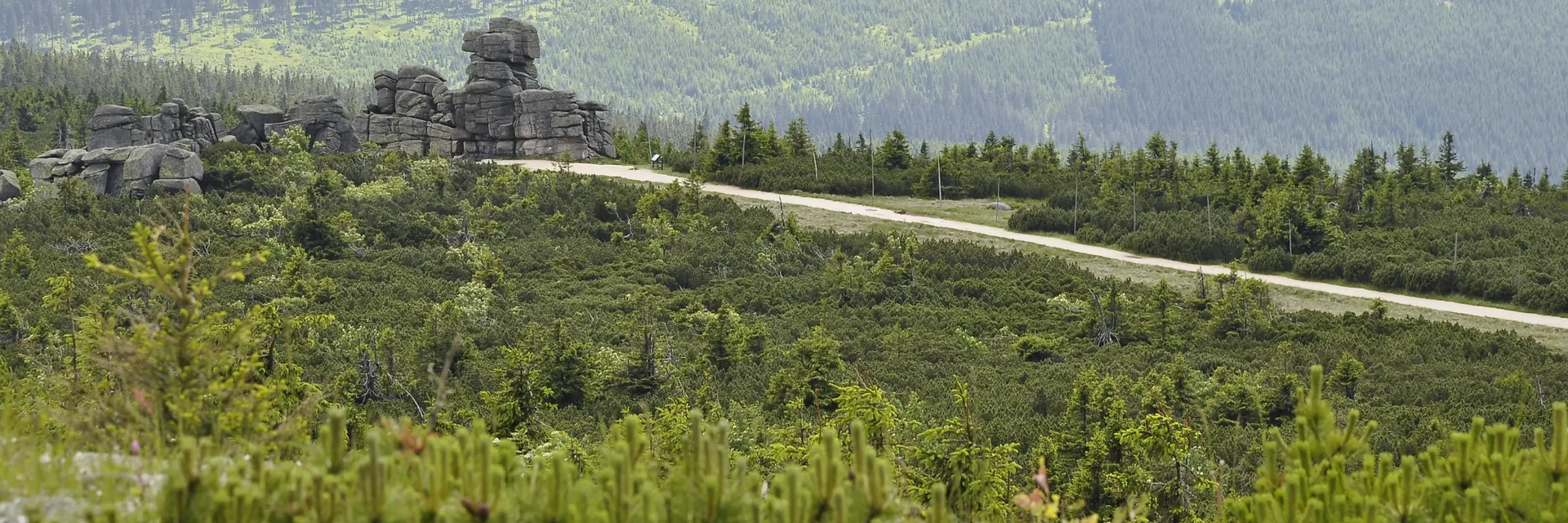 Trasy rowerowe Dolny Śląsk