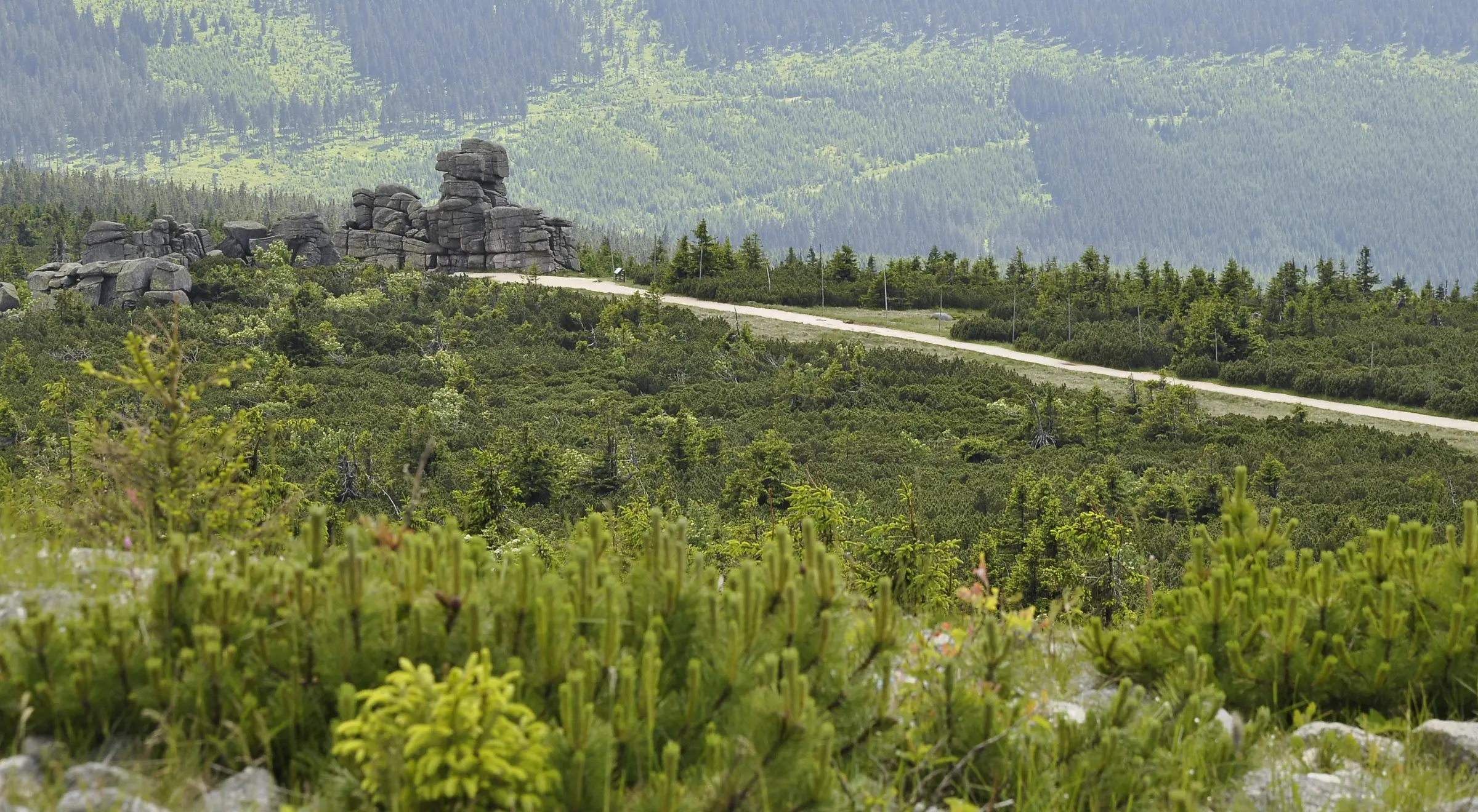 Trasy rowerowe Dolny Śląsk – przewodnik