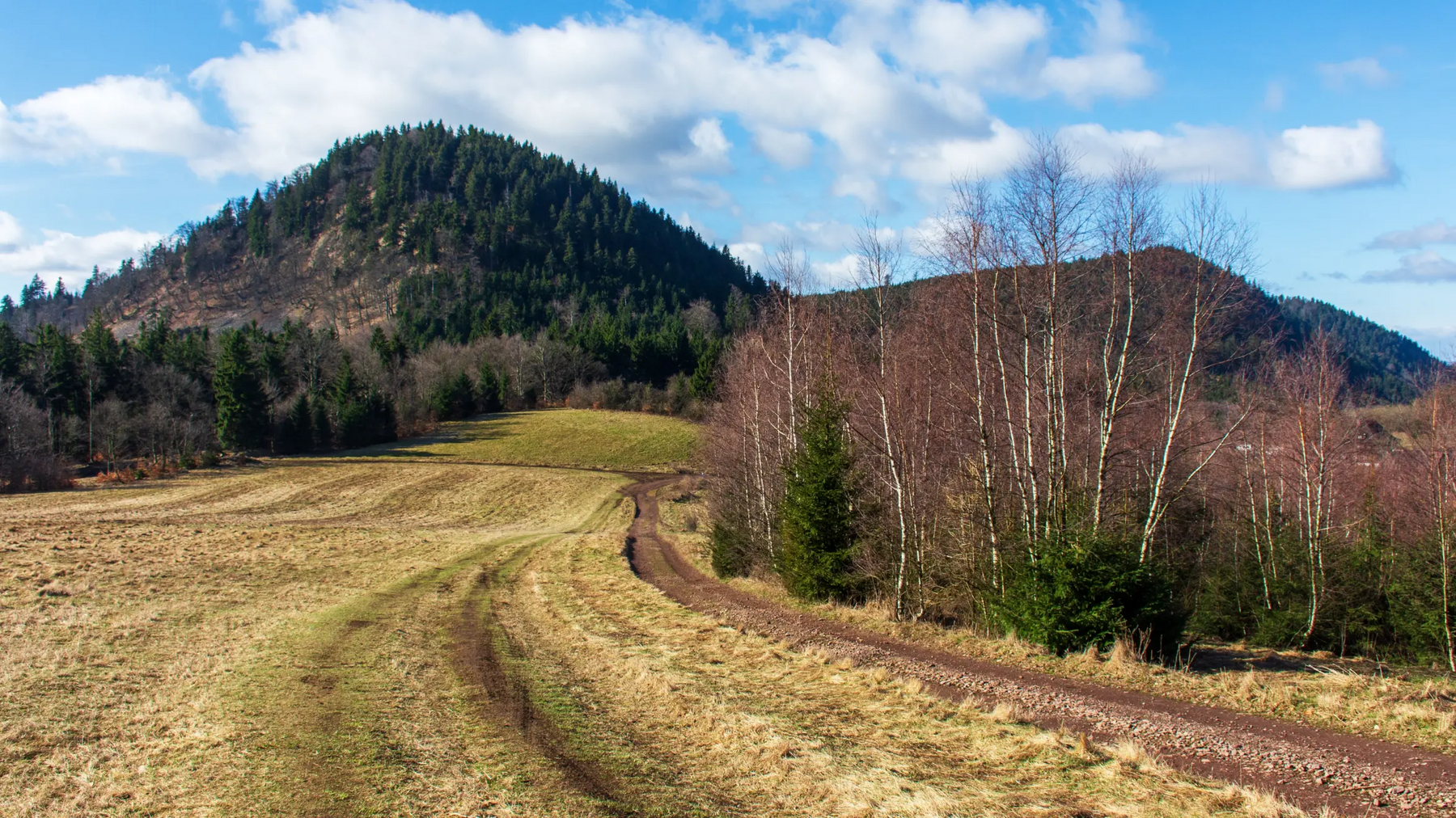 Polna trasa rowerowa