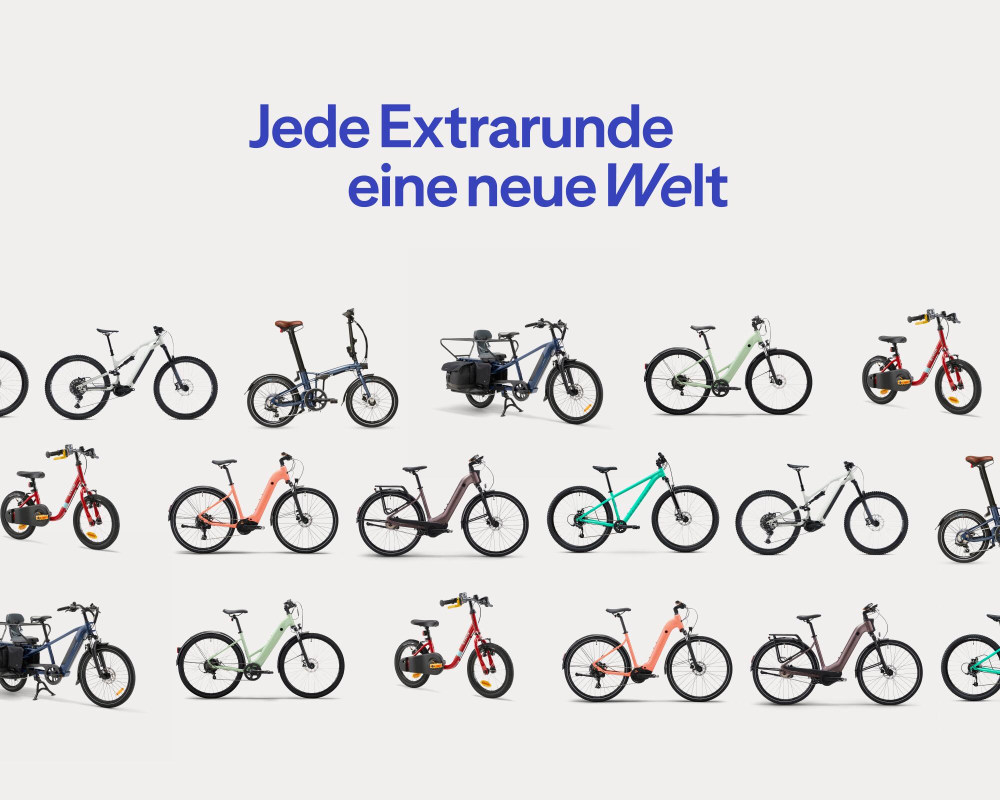 fahrrad-xxl.de seriös i:SY XXL E5 ZR F schwarz | 545WH | E-Bike Kompakt Seegras Specialized E-MTB günstig im SIZE:XXXL