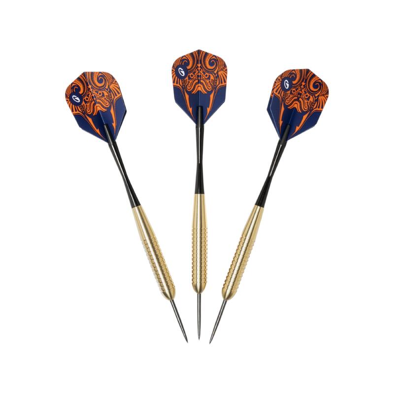 Săgeți Darts