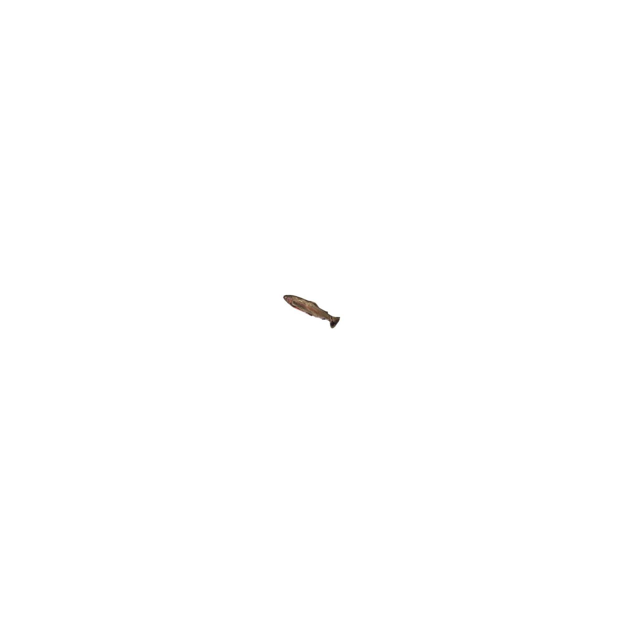 b43d621f-f26d-44a4-93f0-1c3a57575803