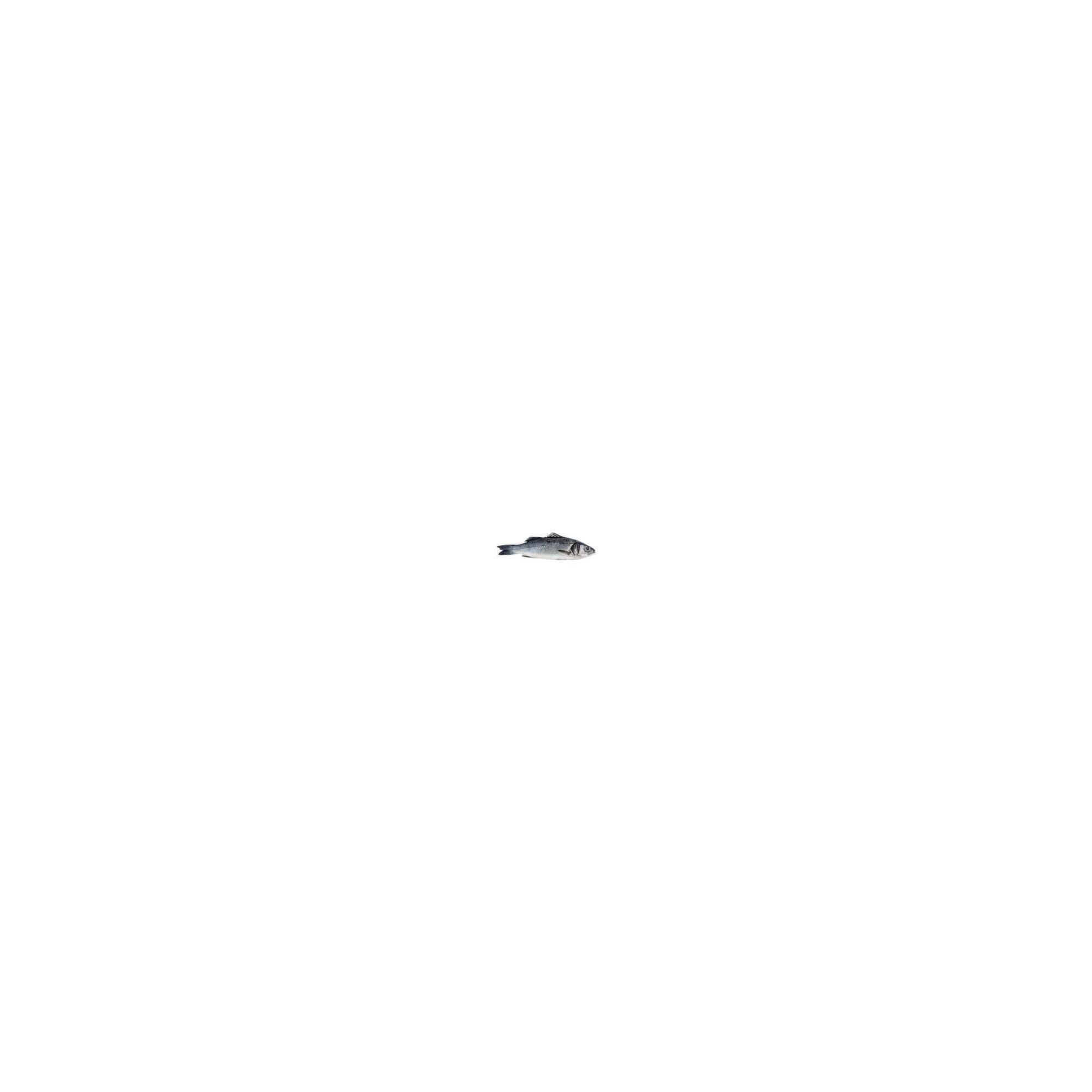5d58f107-08f8-4e0e-884a-6aa440995255