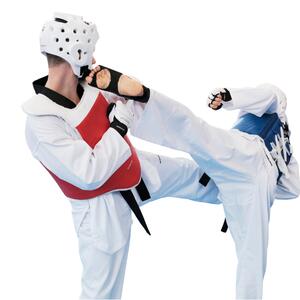 Taekwondo