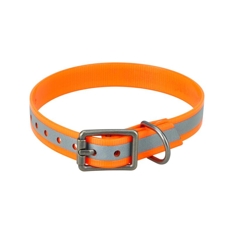 19edc86c-41c7-4f0b-8643-5bed01a7f096