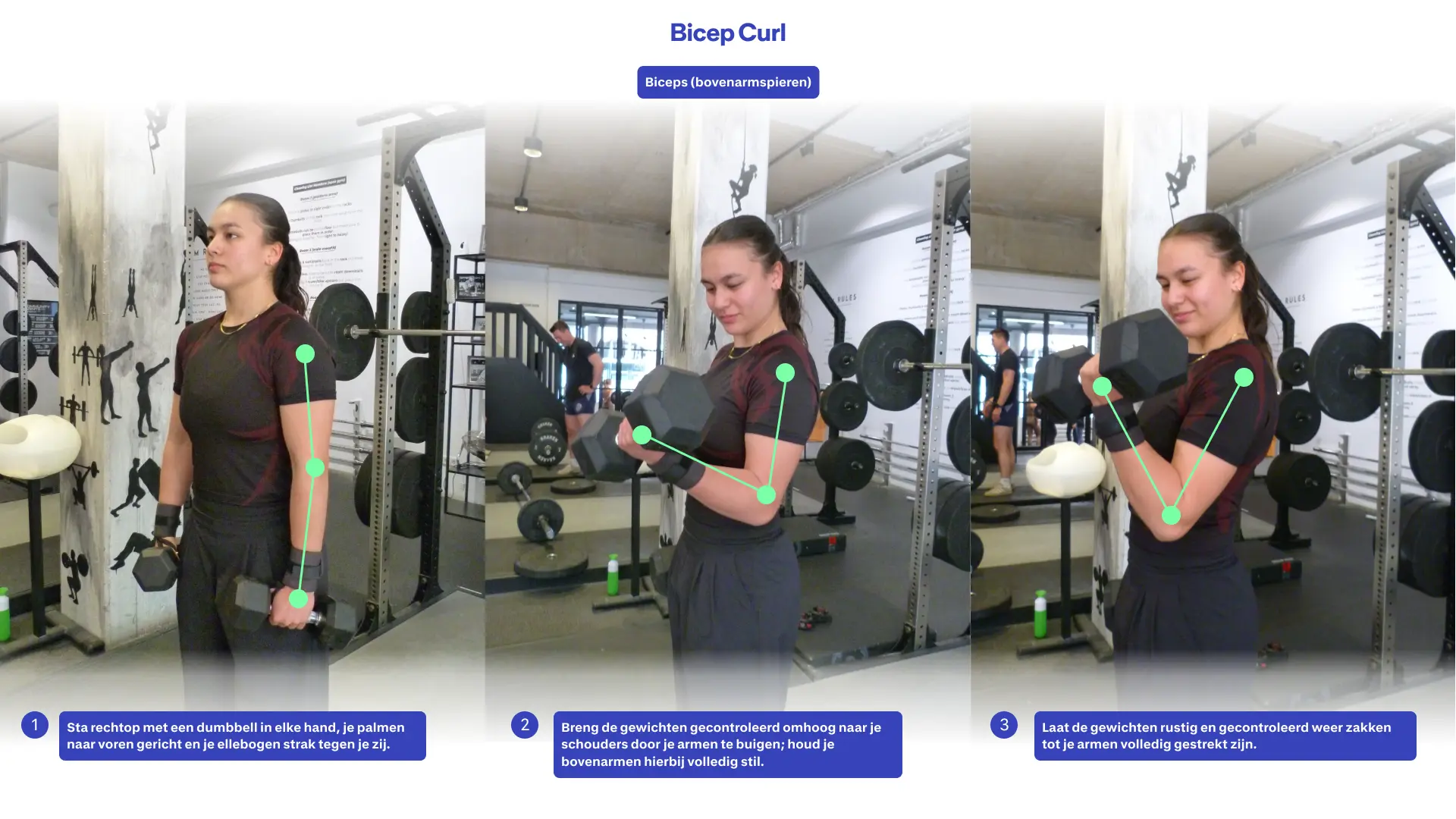 hoe doe ik een bicep curl