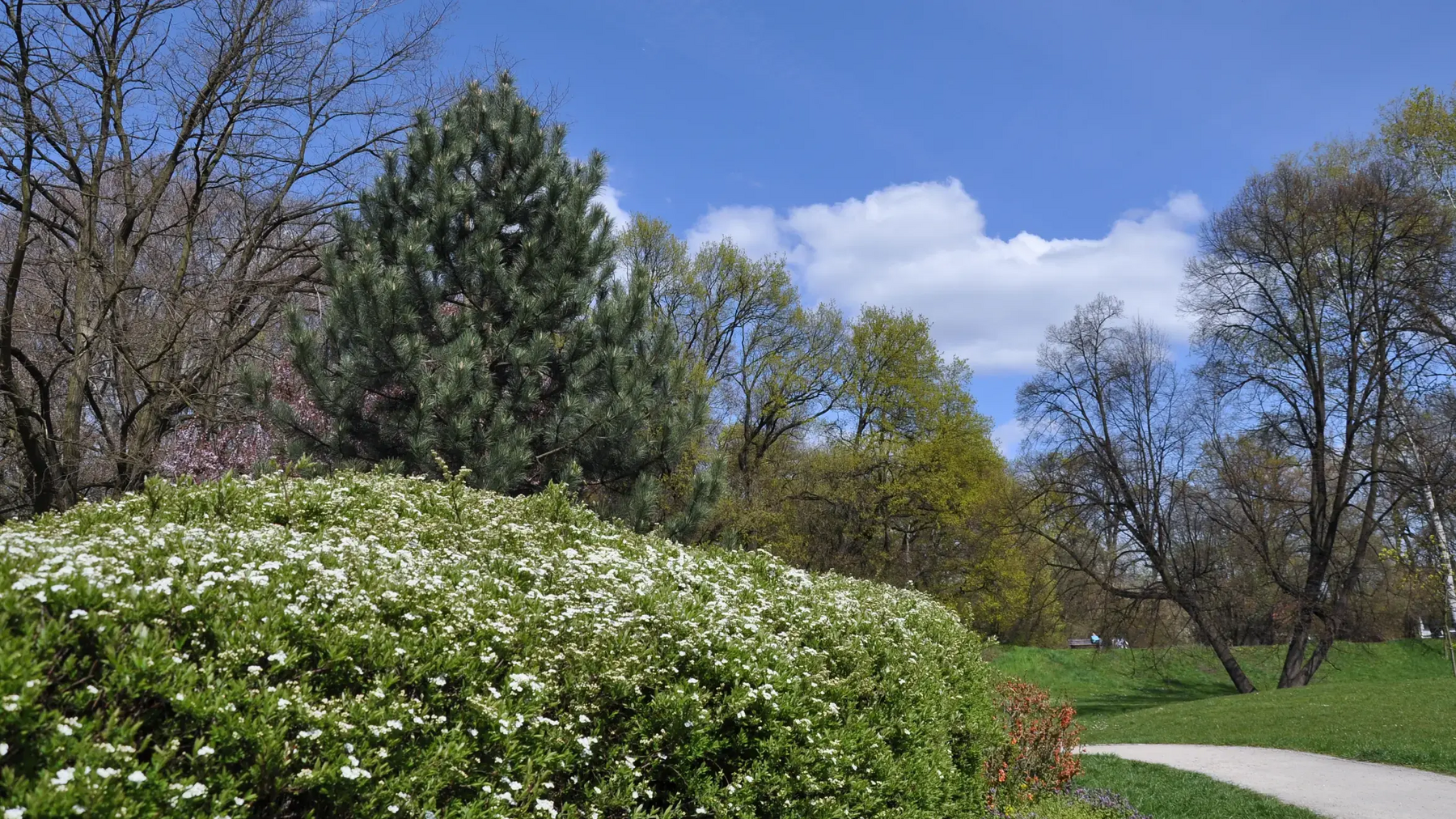 Park