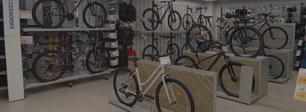 Store Image 3