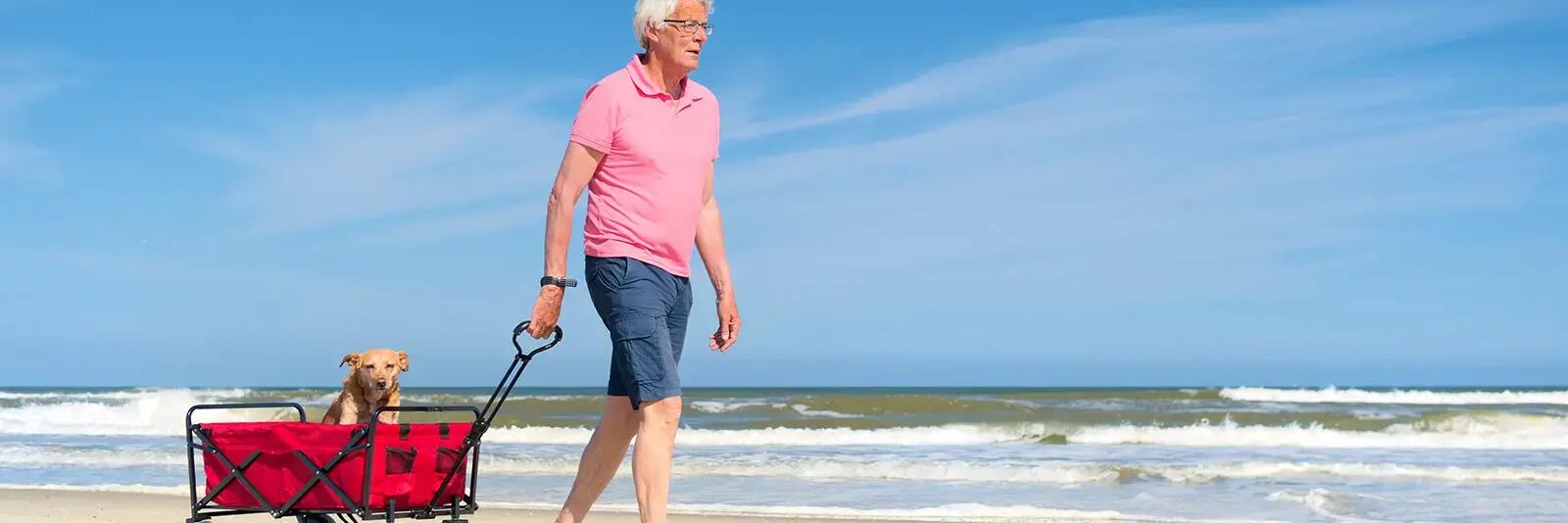 Mężczyzna ciągnący w wózku plażowym psa po plaży