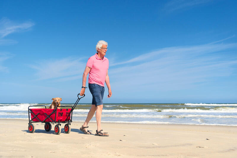 Jaki wózek plażowy wybrać? Dobre wózki turystyczne na plażę