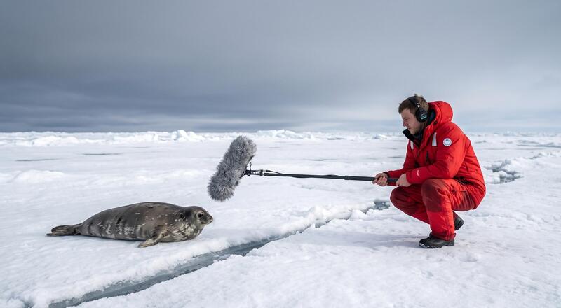 Czym jest nagranie terenowe? Co to field recording?