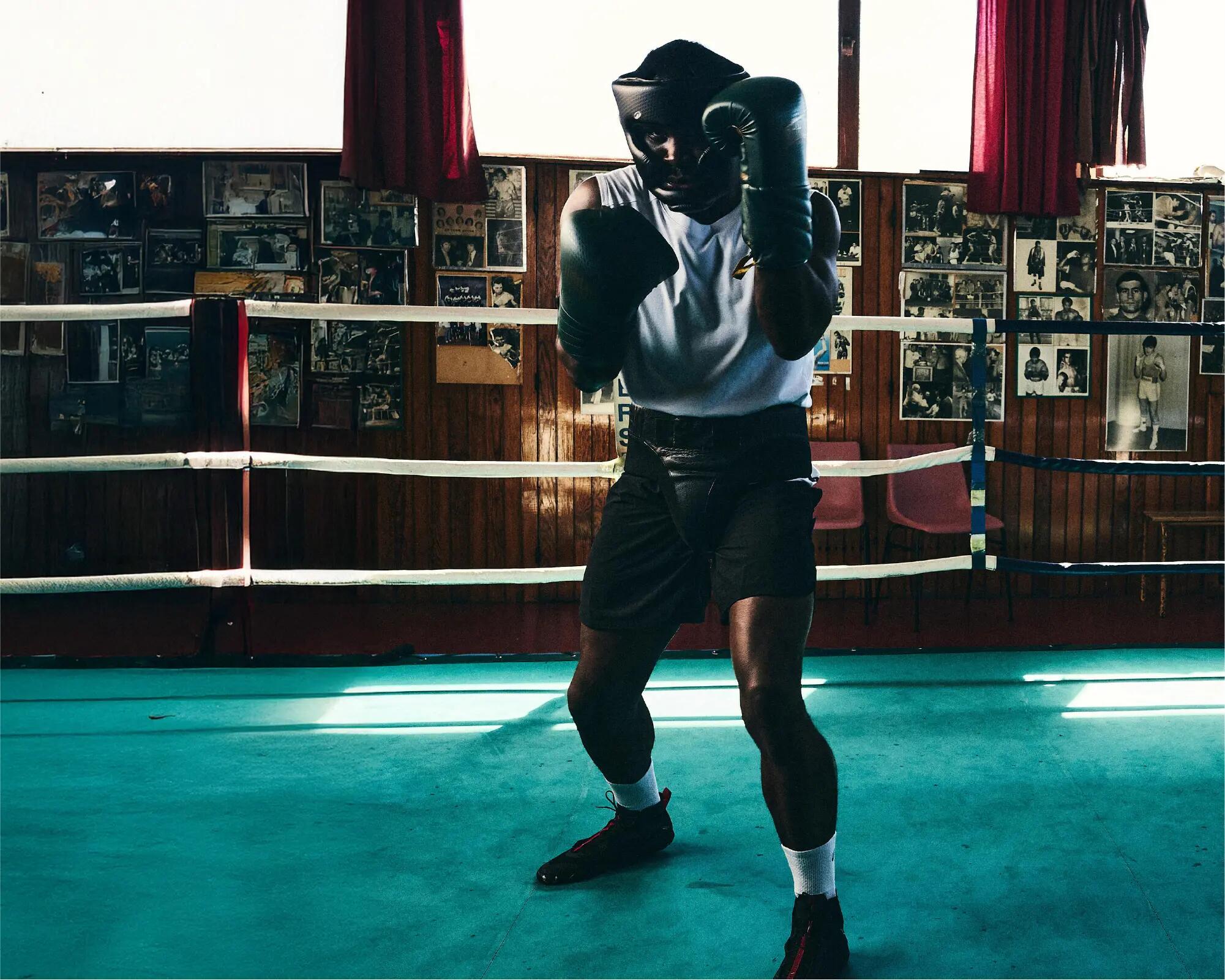 Regressa ao boxe