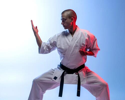 Sensei karate