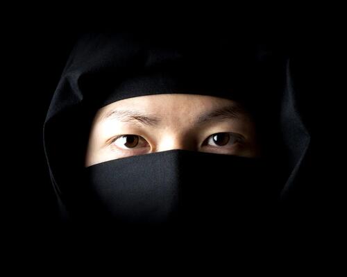 Ninja