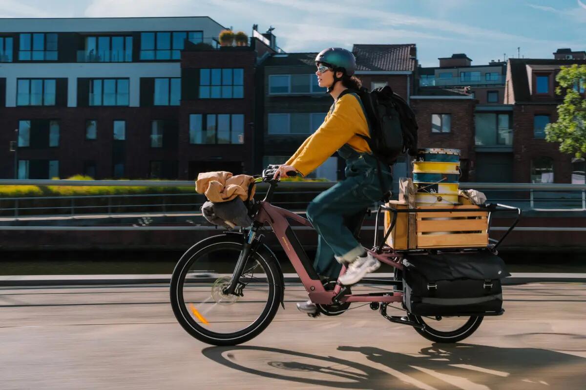 Ontdek onze E-bikes