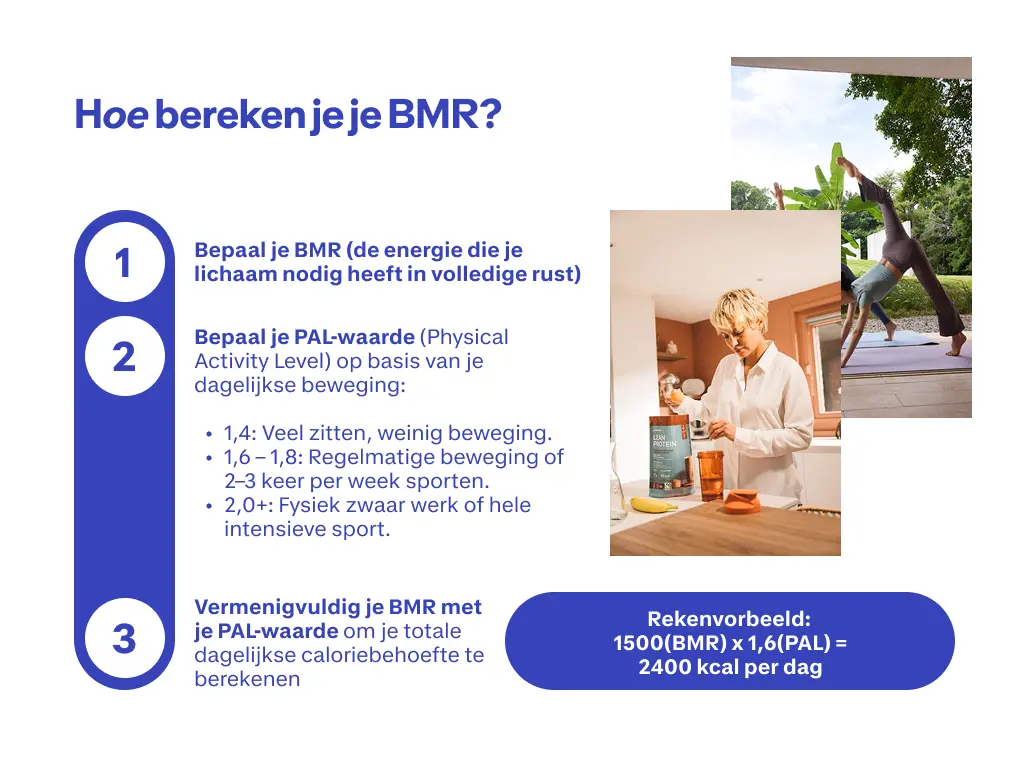 bereken BMR