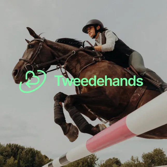 Paard met vliegendeken