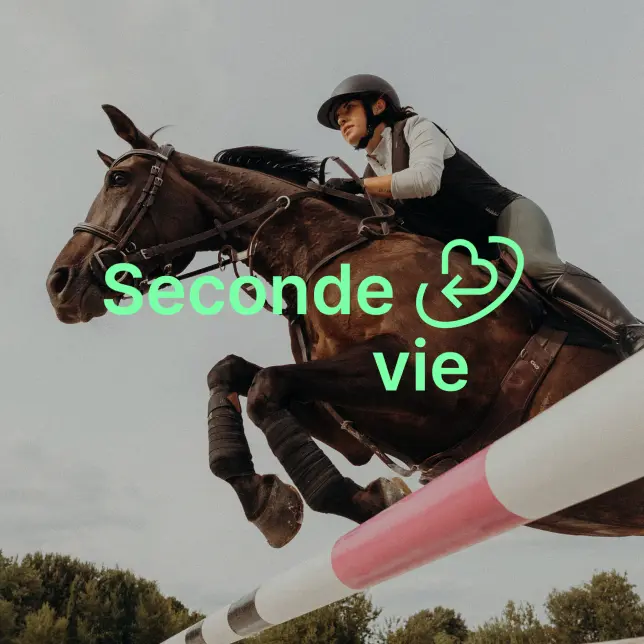 Cheval avec une chemise anti mouche