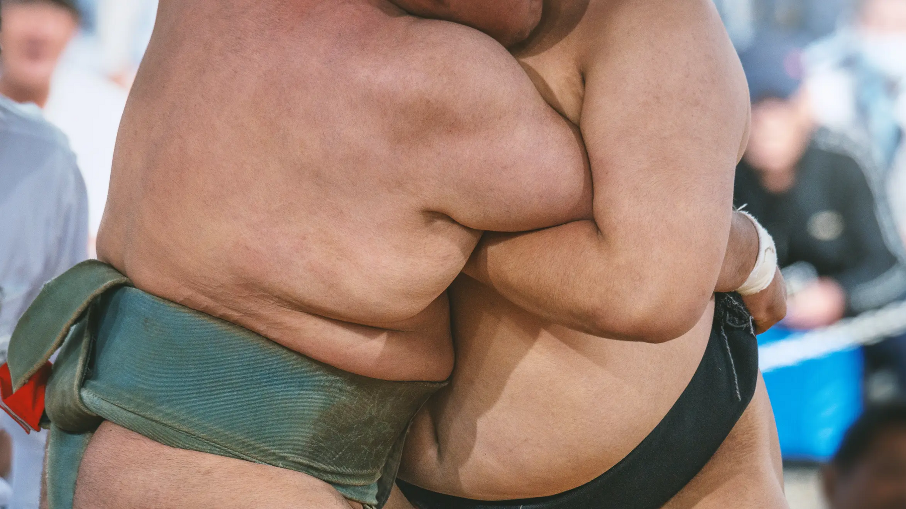 Sumo walczący